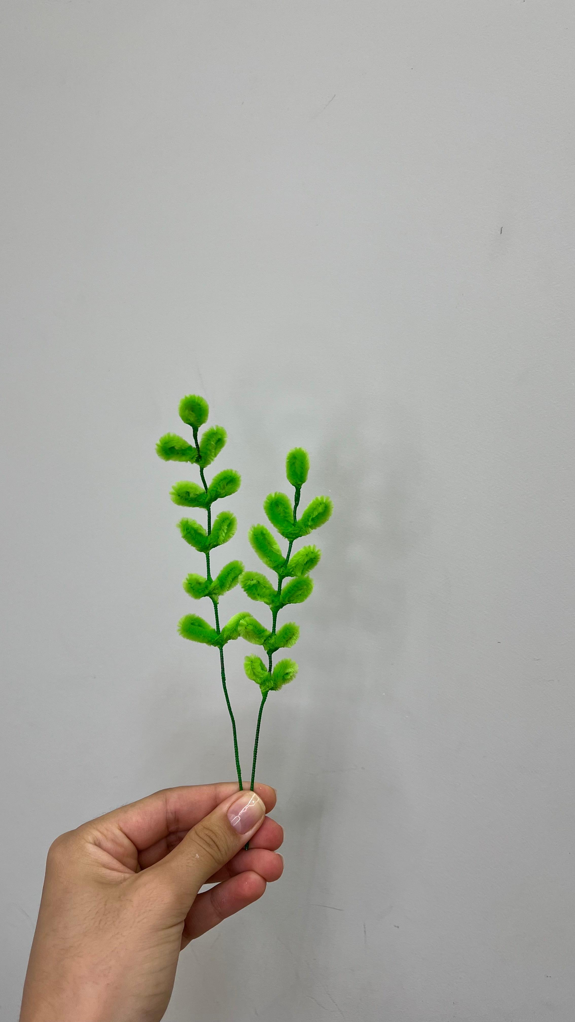 Folhas N2 PipeFlorYou